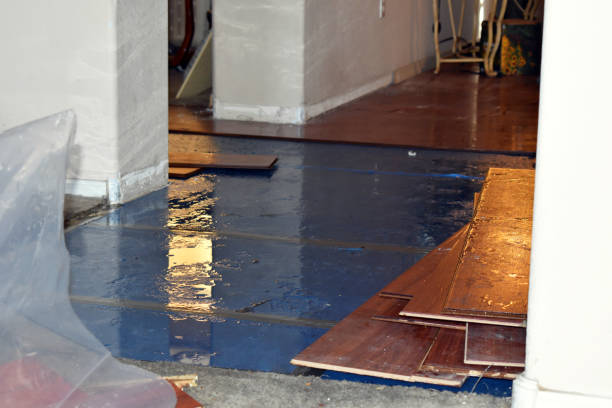 Professional Basement Water Removal technician working in Brentwood, MD
